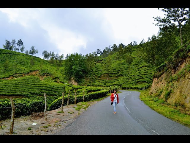 Bangalore to Munnar (Kerala) | Road Trip | Day 3 | Tiago | Most romantic Place