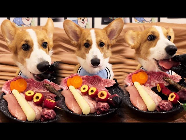 Give the dog the first string of candied haws in winter#ASMR#pets#corgi