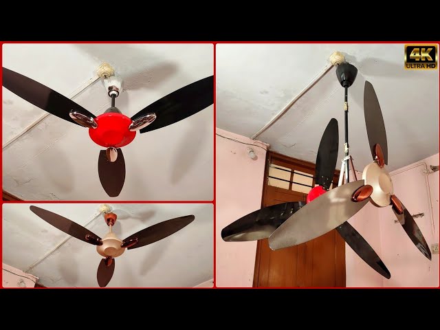 Ceiling Fan Duplex Vertical Drop/Wobble Test | Siblings from same Blood 👥 | 4K60fps 🔥🔥🔥