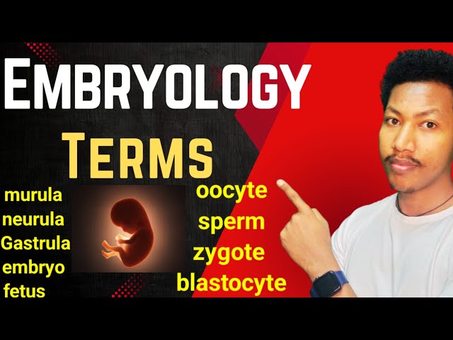 Embryology Terminology #introduction to embryology #oocyte #sperm #zygote #ethiopia