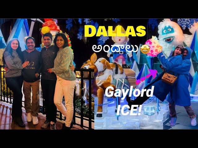 Dallas అందాలు @GaylordTexanResort ICE 🧊 || must visit place in Dallas || Dandevibes ||