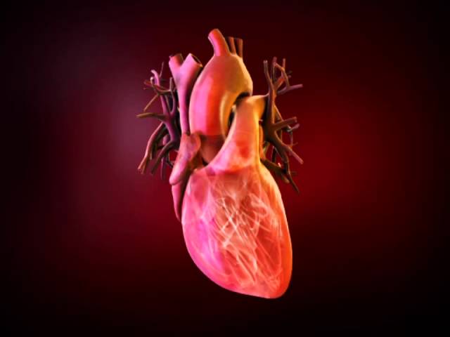 Beating Heart in 3D