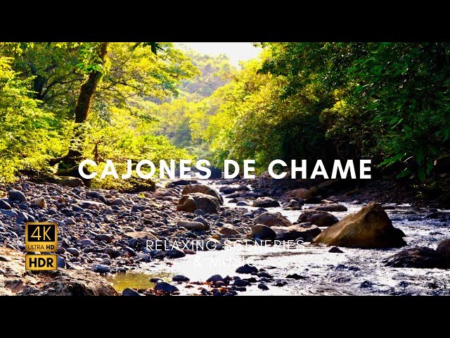 Soothing Sounds and Serene Views: Cajones de Chame Experience