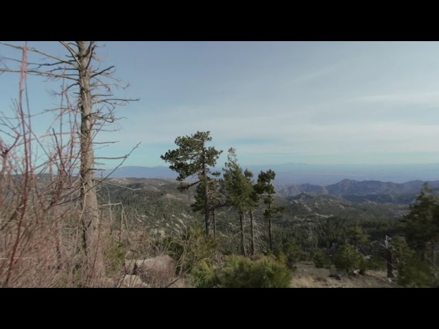 3 Minutes of Wilderness on Mount Lemmon