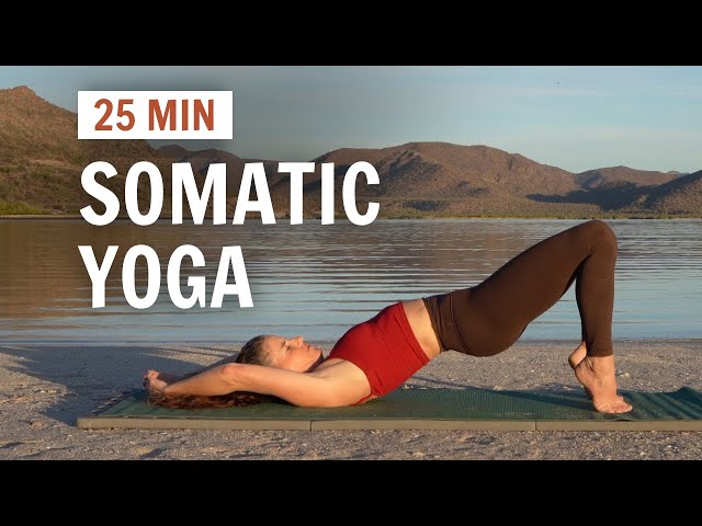 Slow & Stretchy Yoga | 25 Min Somatic Movement Practice