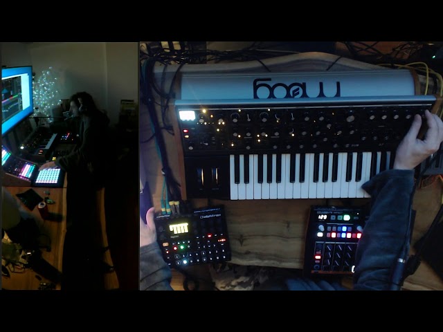 Exceedingly Something - Another Moog jam on the Subsequent 37 and Digitakt