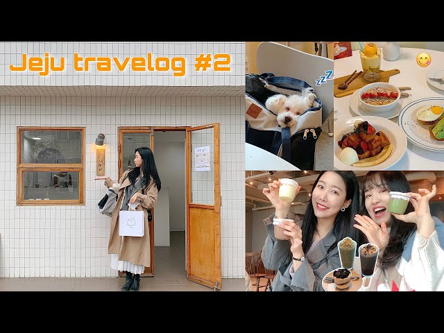 [VLOG] travel to Jeju Island -2 🧡 with my dog and my friend.