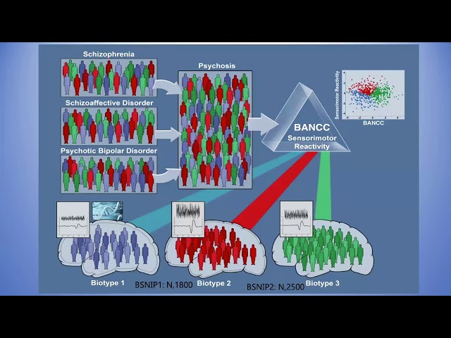 Discovering Neurobiology for Psychosis