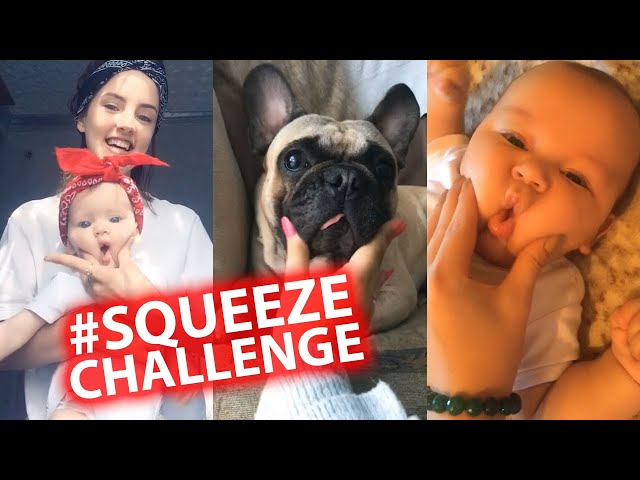 Baby Squeeze Challenge | CUTE compilation | Squeezy & Squeeky | Musical.ly & TikTok challenge