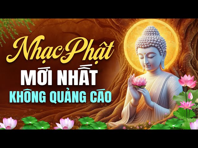 Nghe Nhạc Phật Mới Nhất KHÔNG QUẢNG CÁO - Liên Khúc Nhạc Phật Giáo Tịnh Tâm Hay Nhất 2024