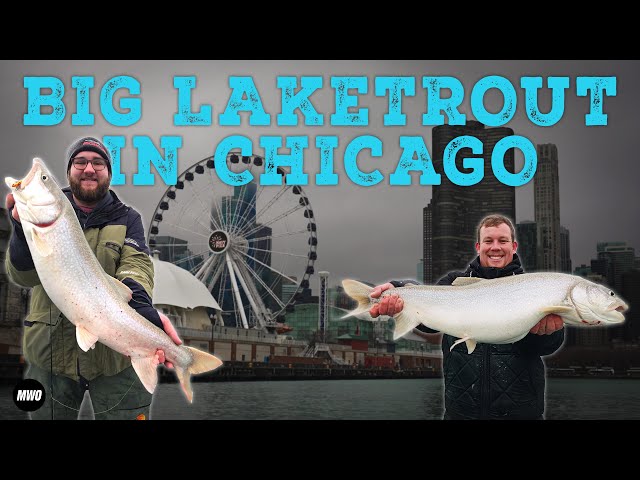 Monsters in the Metro: Lake Trout in Downtown Chicago