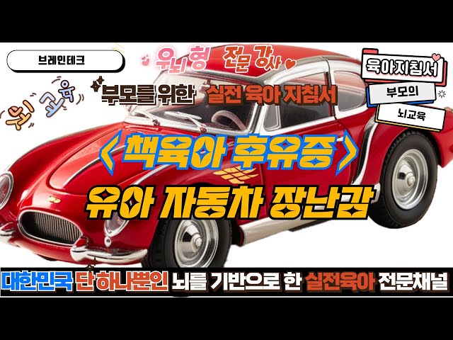 조기교육 실태 - 책육아 후유증으로 인한 자동차 및 인형 집착 및 중독