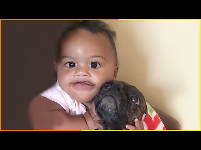 Baby and Pets Funny Fails  Funny  Baby Playing Dog and Cat Compilation