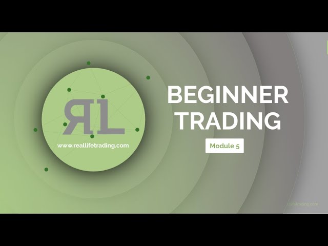 A gorgeous overview of the entire Real Life Trading Beginner Series: Video #5