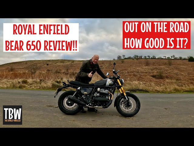 Royal Enfield Bear 650 Review!!