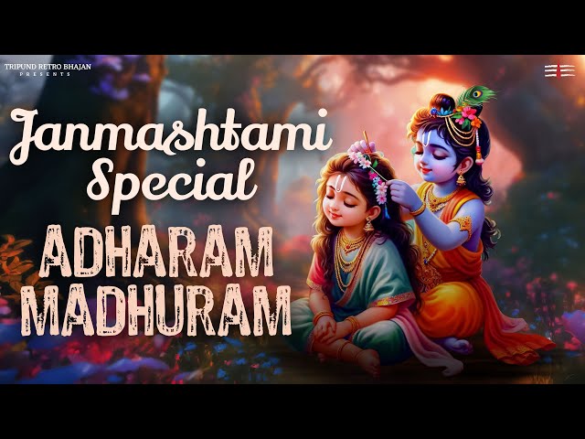 Adharam Madhuram | Lo-fi Bhajan (Slow + Reverb) Krishna Bhajan | Bhakti Song | #tripundretrobhajan