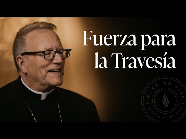 Fuerza para la Travesía - Sermón del Domingo del obispo Robert Barron