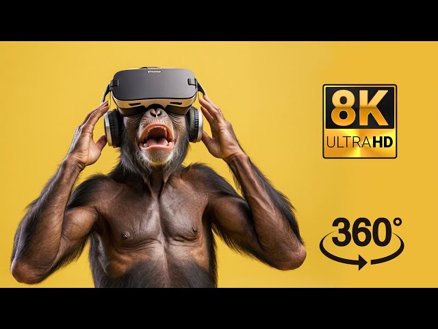 8K VR Music : Insomnia My Mind Never Sleeps