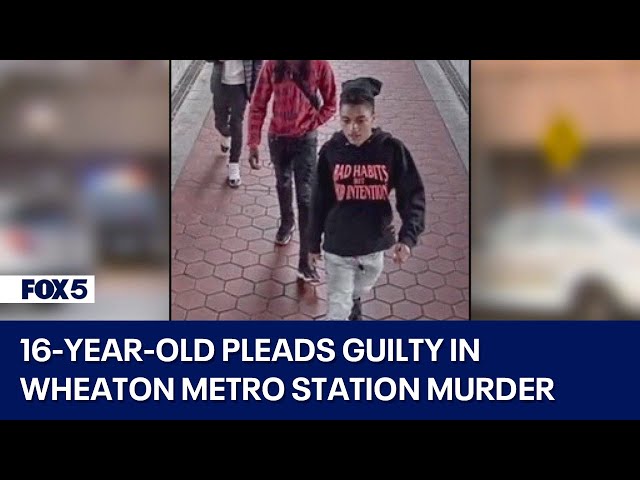 16-year-old pleads guilty to murdering 18-year-old at Wheaton Metro Station