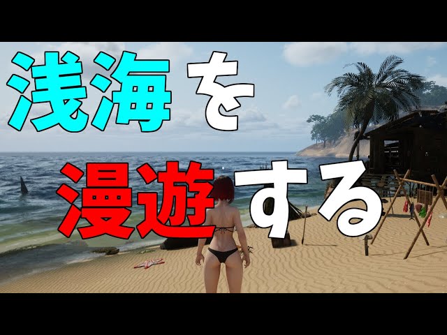 [浅海漫遊　Shallow Sea Roaming]島の浅海で漫遊する！？初見プレイしてみるぞ！