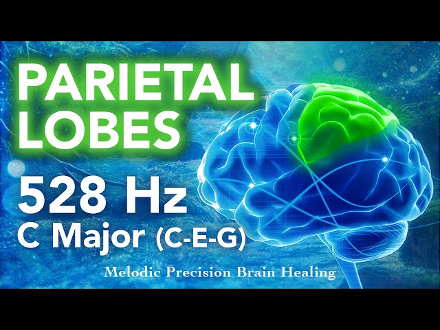 Parietal Lobes Healing | 528Hz Frequency & C Major Chords | Stream Soundscape