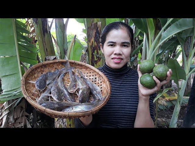 Asian food , Awesome Cooking fish with eggplant  Recipe - Cook  fish Recipes  - Village Food Factory