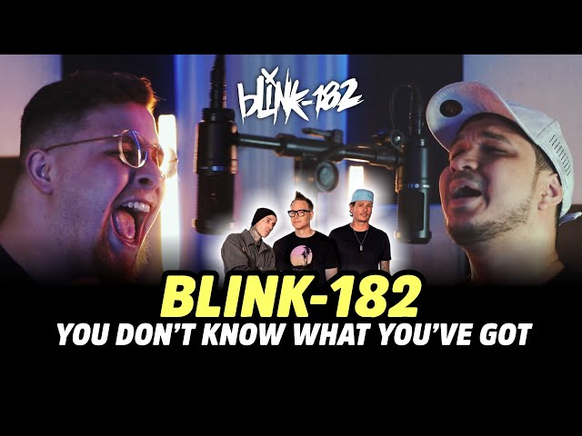 BLINK-182 - You Don't Know What You've Got (COVER) Feat. @eusamuelfelipe