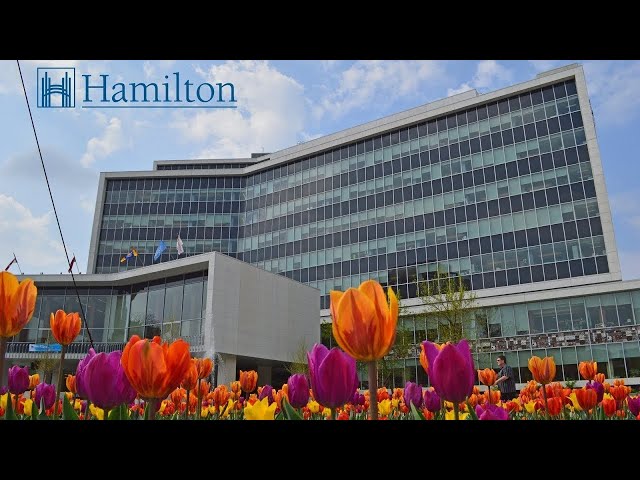 Sole Voting Member of the Hamilton Tourism Development Corporation - February 11, 2024