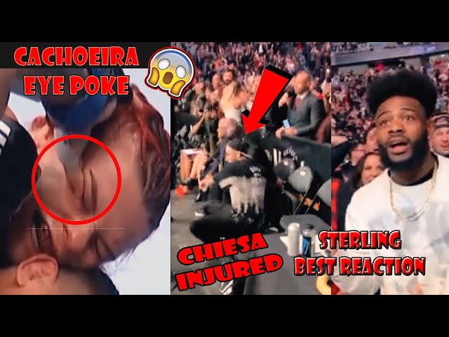 UFC 269 CONTROVERSY AND FUNNY MOMENTS