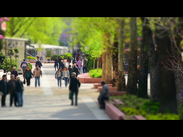 People Walking In The Park In Timelapse Mode - Free Stock Creative Commons Video