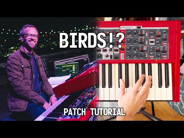 BIRDS or SYNTHS? Nord Stage 4 Tutorial.