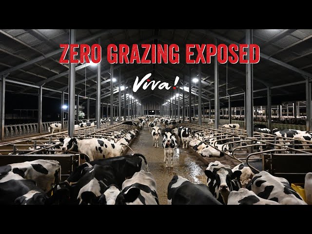 Zero Grazing Exposed