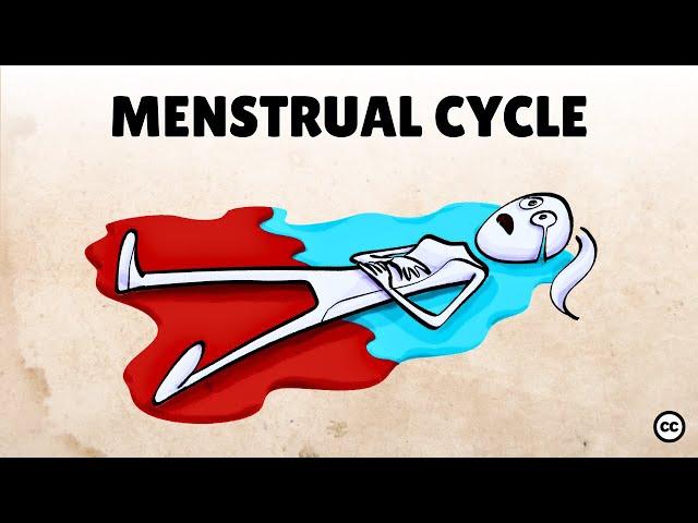 How Periods And Hormones Impact Mood [Menstrual Cycle]