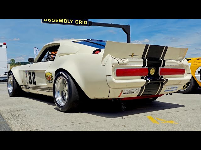 1967 Shelby V8 Sound Therapy at Legends of Speed 2025 || Touring Car Masters New Zealand [4K]