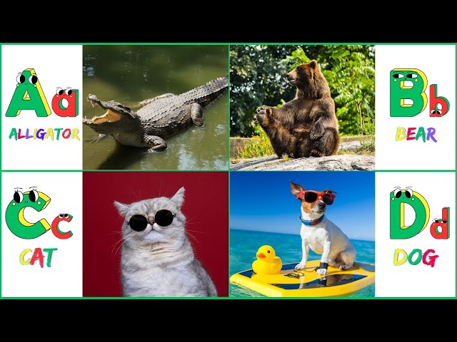 ABC Phonics Song for Kids | Fun Learning with Animals | ABCD Alphabet