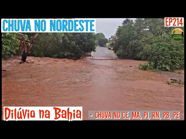 Chuva e Enchentes na Bahia: Muitos rios e riachos transbordando EP214