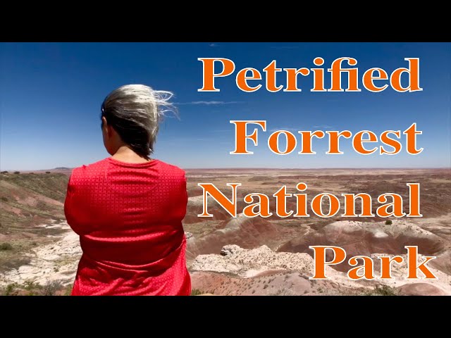 Petrified Forrest National Park