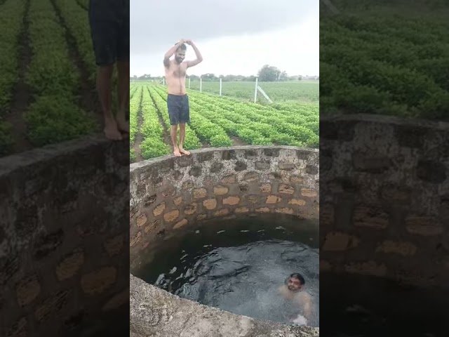 || Jumping into the well || YouTube Short || Village Life || Dhaval Manvar Vlog ||