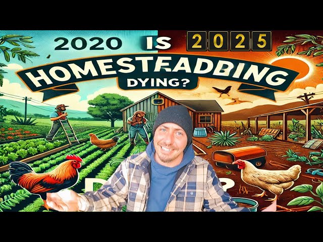 Is Homesteading Dying? Why The Popularity Has Declined Since 2020