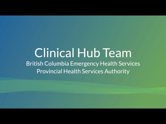 2024 - Solventum Team Award / Prix Solventum pour les équipes - Provincial Health Services Authority