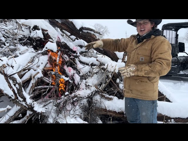 Snow storms- the best time to light a massive fire 🔥