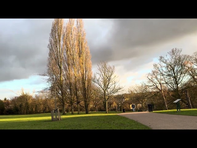 A Beautiful Sunset in a South London Park