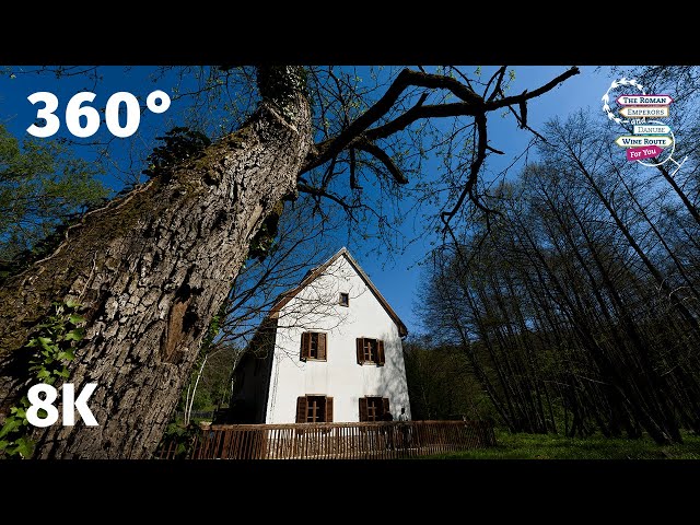 Lake Pécs (Orfű Village): Beautiful Nature on the Danube Trail of Hungary - VR 360 8k