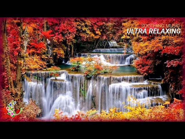 Ultra relaxing music to heal body mind and soul | Soothing Music