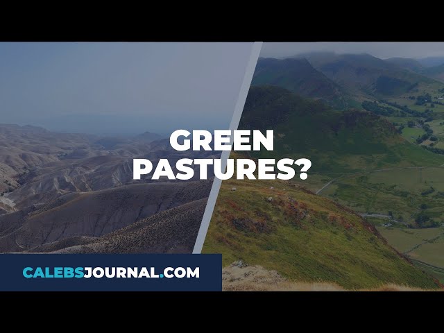 Re-Imagining the Green Pastures | Psalm 23