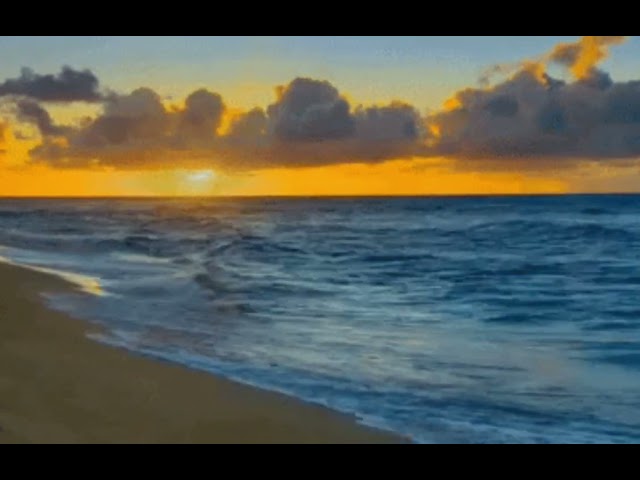 Beautiful Relaxing Music and Ocean Wave Sounds For Stress Relief