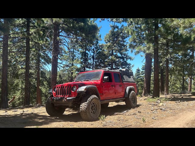 Big Bear Jeep Gladiator Off Grid _Last Day Camping **Trip of a Lifetime **