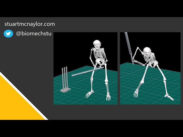 Cricket Batting Biomechanics Study: Male and Female Power Hitting