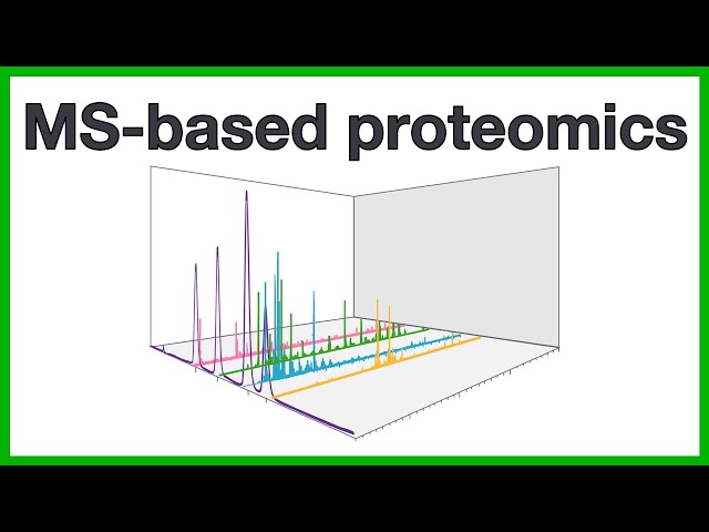 MS-based proteomics: A short introduction to the core concepts of proteomics and mass spectrometry