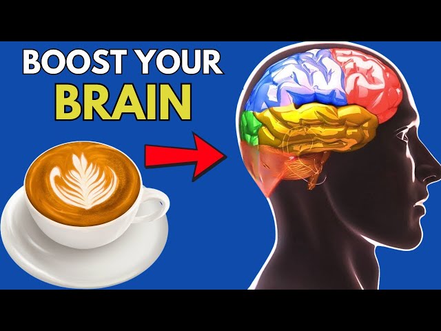 🧠 7 Superfoods That Fight Memory Loss & Prevent Alzheimer’s